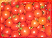 tomaten